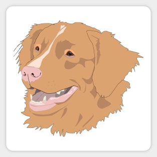 Nova Scotia Duck Tolling retriever Sticker